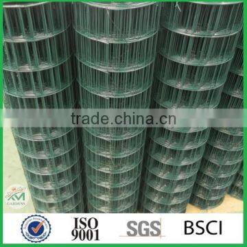 Galvanized Welded Wire Mesh Cheap photo-2