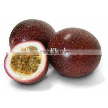 Spanish Passion Fruit Seeds Oil Press Machine Price/hydraulic Oil Making Machine With CE/348kg per Day Hydraulic Oil Mill photo-3