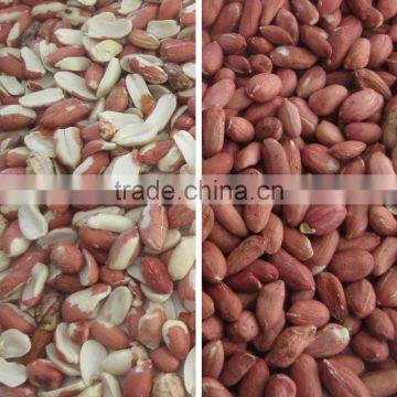 Grain,Wheat,Rice,Seeds,Dehydrated Vegetable,Recycle Plastic Color Sorter photo-5