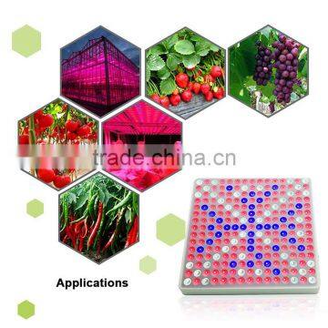 LED Plant Grow Light, HIGROW 45W 225 LEDs 6-Band Full Spectrum LED Grow Lights for Indoor Plants. photo-2