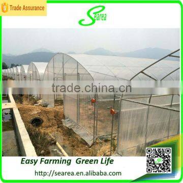 Agricultural Single Span Green Houses photo-4