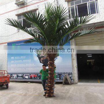 CHY020934 High Quality Palm Tree for Landscaping Decoration photo-6