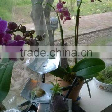 Illuminated Relaxation Water Fountain photo-3