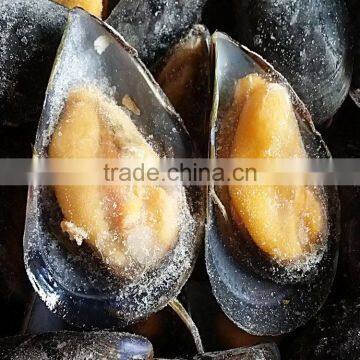 Hot Sale Frozen Cooked Mussels in Full Shell photo-2