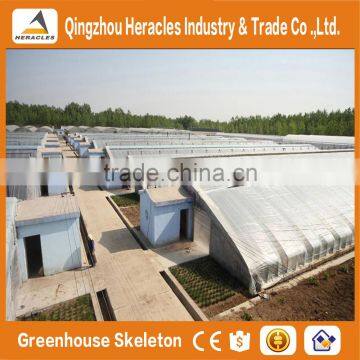 Heracles Low Cost Mini Greenhouse for Sale photo-5