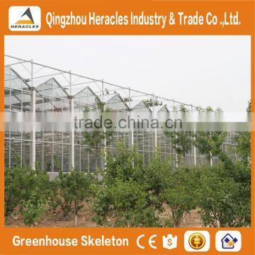ShanDong Trade Assurance Greenhouse Equipment -aluminium Profiles Greenhouse for Sale photo-4