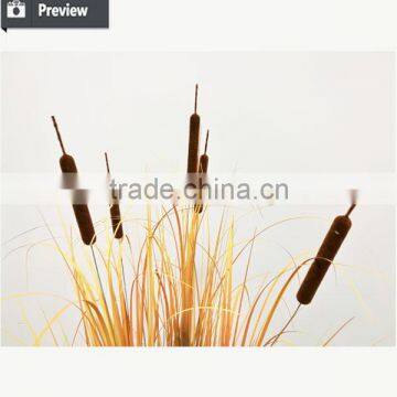 Dongugan Factory Direct Sale Artificial Grass Onion Grass With Cattails in Pot Synthetic Potted Grass Pots Plant photo-4