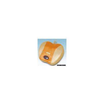 Sell Golden Apple Cushion