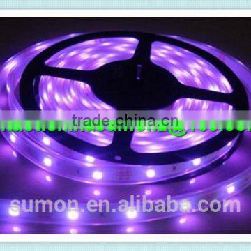 China Supplier SMD Holiday LED Lighting 110 220V 60leds/m Dmx Rgb Led Strip Light photo-4