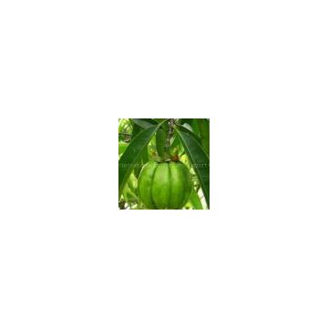 sell Garcinia Cambogia Fruit Extract