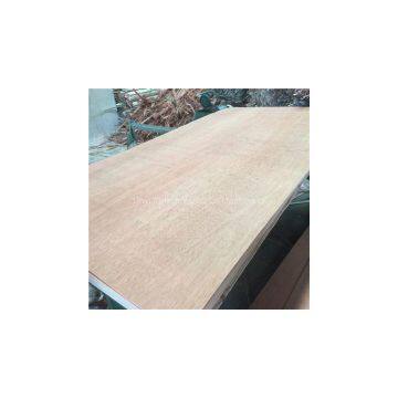 Good quality Bintangor plywood for furniture and packing