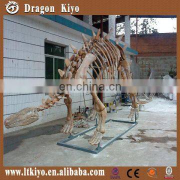 2016 museum equipment realistic dinosaur skeleton dinosaur fossil