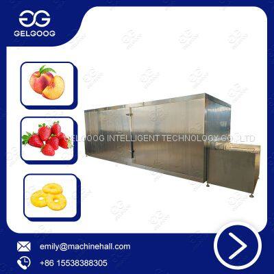 Iqf Fluidized Tunnel Freezer Quick Freezing Machine Commercial Iqf Carrot Freezing Line