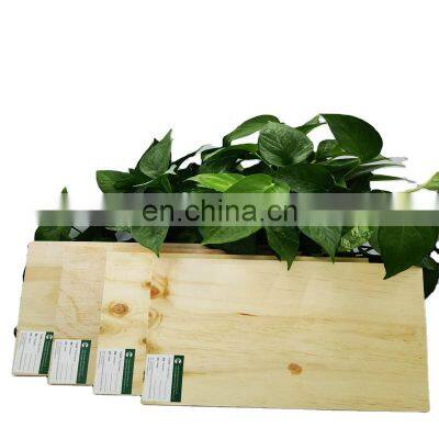 3/4 18 mm poplar core pine laminated plywood sheet 4x8 manufacturer