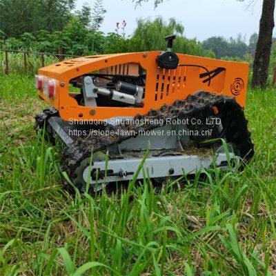 Remote Control Brush Cutter China Manufacturer Factory Supplier Wholesaler photo-4