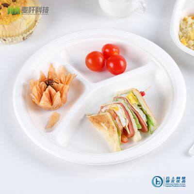 Disposable Biodegradable 9INCH 3C PLATE Take away Sugarcane