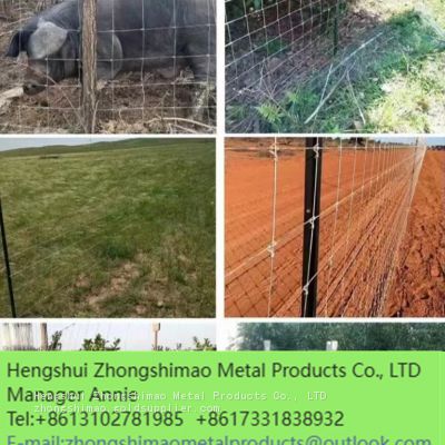 Grassland fence/Field Fence/Galvanized Steel Mesh/ stock fencing wire/Cattle fence