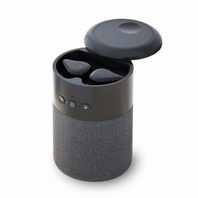 Time-limited Discount Portable Wireless Bluetooth Earbuds With Fabric Material Bluetooth Earphone B20