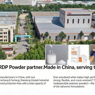 High Strength Redispersible Polymer Powder Vae/Rdp for Skim Coat Dry Putty Powd photo-2