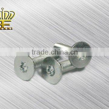 Torx Countersunk Head Screw