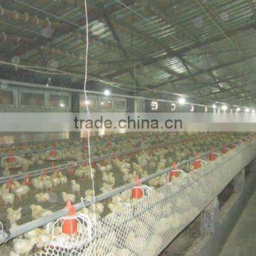 automatic poultry feeder