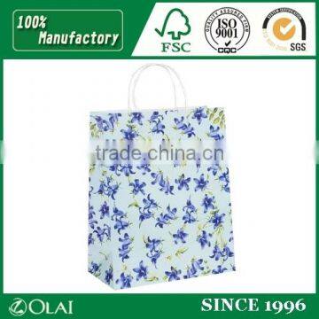 Twisted Printed Gift Paper Bag with Blue Flower