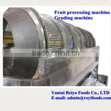 Cherry Grading Machine / Cherry/tomato Grading Machine photo-6