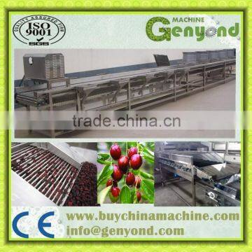 stainless steel date washing machine/palm date processing line/jujube washing machine