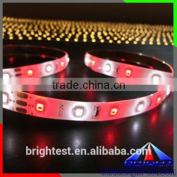 Light Pink And Purple Beads 2835 Led Strip, High Brightness SMD 2835 No Voltage Drop LED Strip photo-3