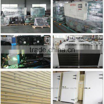 Zhejiang Hangzhou Yemoo Supermarket Solar Walk in Freezer
