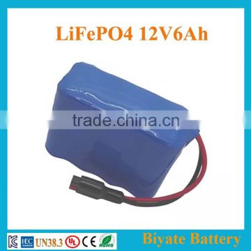 Customized 12v 6Ah rechargeable portable fuel gauge lifepo4 battery