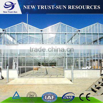 Venlo Tempered Glass/float Glass Greenhouse With Hydroponic Growing System photo-4