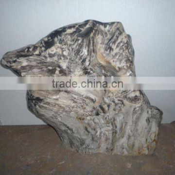 petrified wood