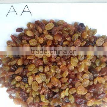 Malayar Raisins photo-3