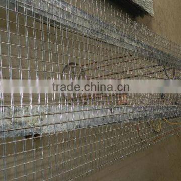 Small Hole 3/8 Inch Galvanized Welded Wire Mesh