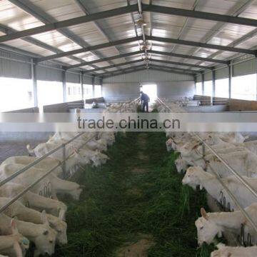 high quality steel structure goat farm