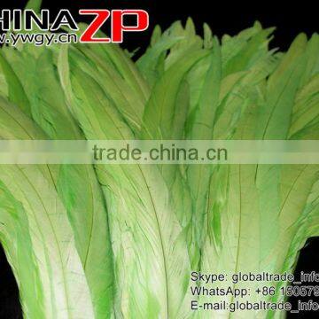 Leading Supplier CHINAZP Bulk Sale 35-40cm Length Cheap Colored Green Fully Dyed Rooster Chicken Feathers photo-3