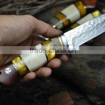 Doshower Damascus Hunting Knife With Promotional Gift of Eagle Wood Prices photo-3