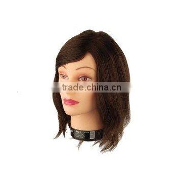 Remy Quality Training Heads - Beauty Salon Fashion Heads