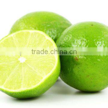 Fresh Lemon Supplier / Manufacture in India