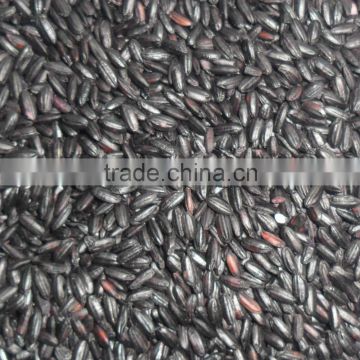 Black Rice with good quality