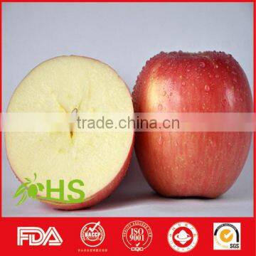 Export cheap fresh honey fuji apples