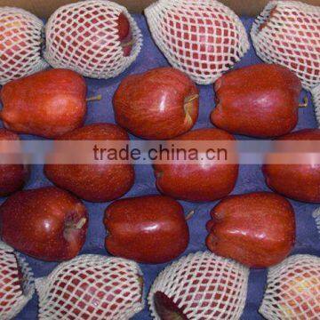 2012 Fresh Huaniu apple