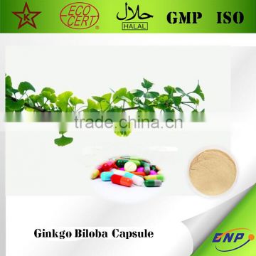 BNP Supplies Best Quality Ginkgo Biloba Extract Powder Capsule