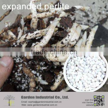 Horticultural Expanded Perlite of Seedlings