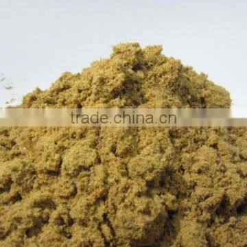Fish Meal