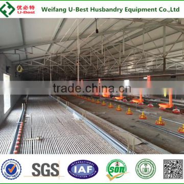 U-BEST full automatic poultry equipment for breeder chicken