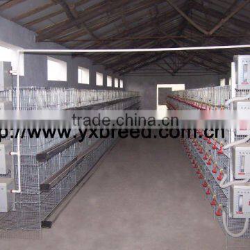 poultry equipment for sale & poultry equipment for Broilers and Chickens