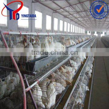 Chicken Layer Equipment for Poultry Farm photo-5