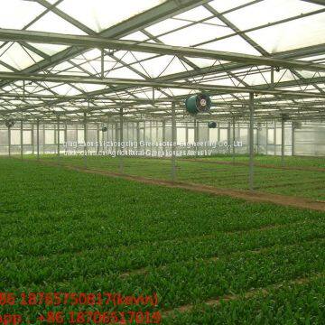 build and sell span greenhouse&commercial used greenhouse